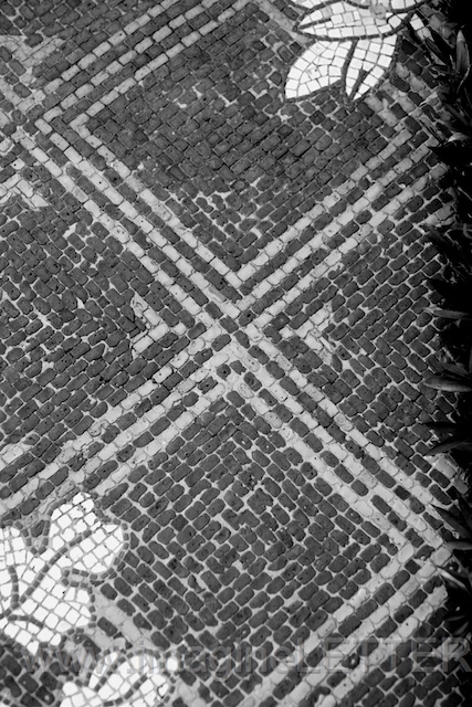 Wall_Art_Alphabet_Photography_Art_ 2468.jpg
